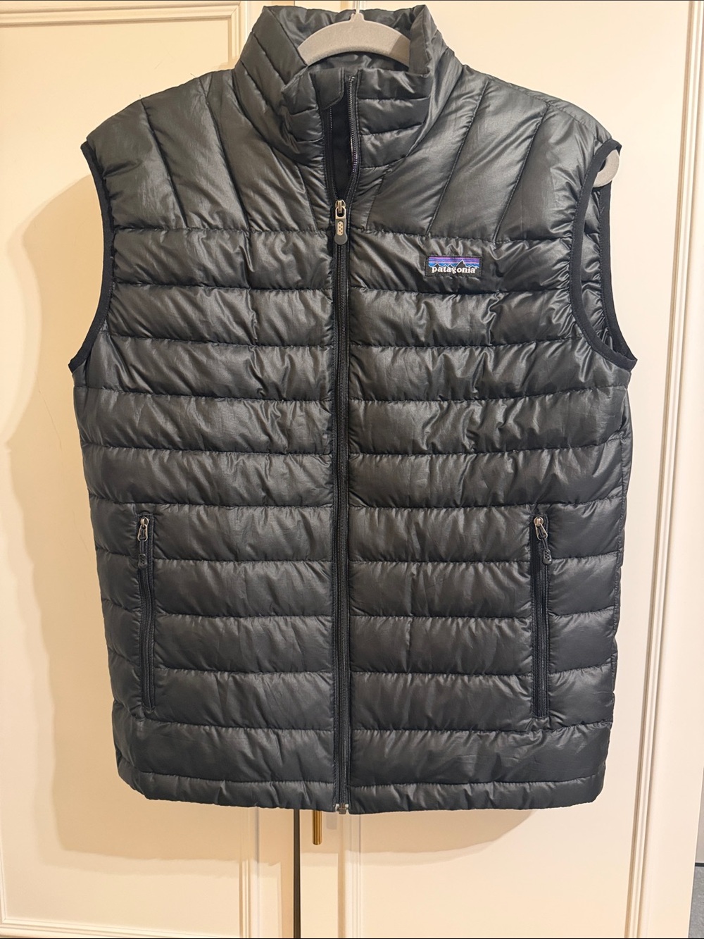 Patagonia Men's Quilted Down Vest